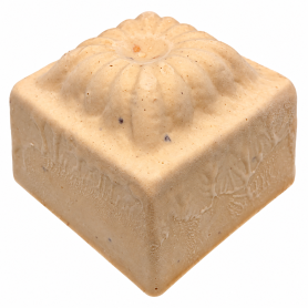 NOISETTE