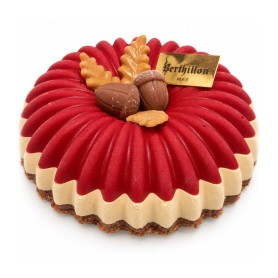 GÂTEAU GLACÉ - FORÊT ROUGE - DECOR EN CHOCOLAT DU MOMENT