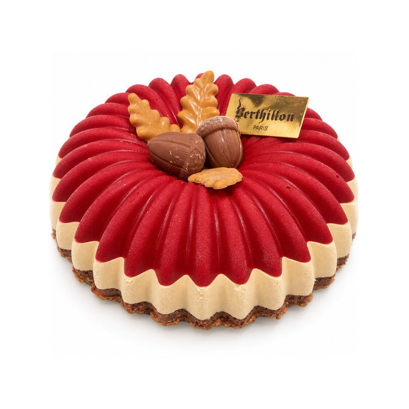 GÂTEAU GLACÉ - FORÊT ROUGE - DECOR EN CHOCOLAT DU MOMENT
