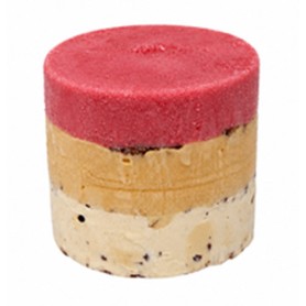 SUCCÈS GLACÉ - FRAISE ABRICOT PISTACHE