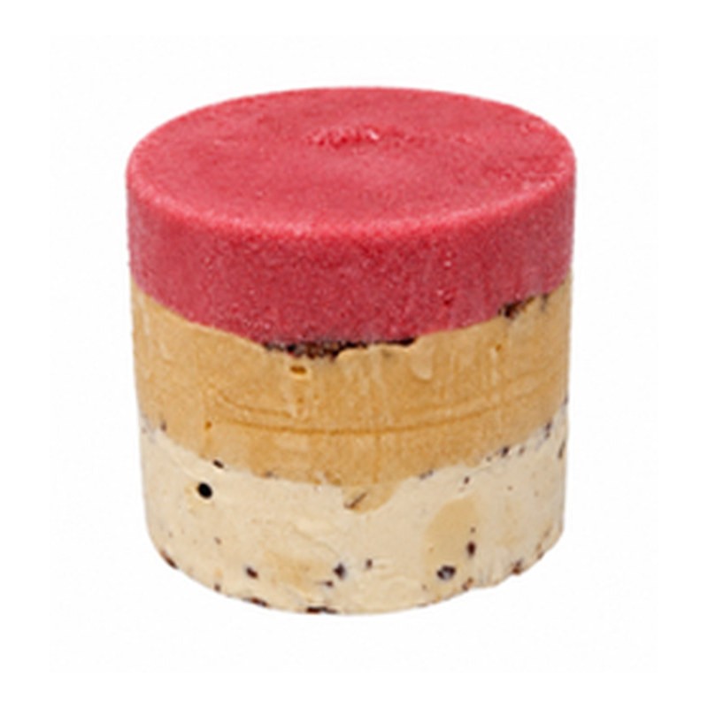 SUCCÈS GLACÉ - FRAISE ABRICOT PISTACHE