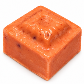 FRAISE DES BOIS